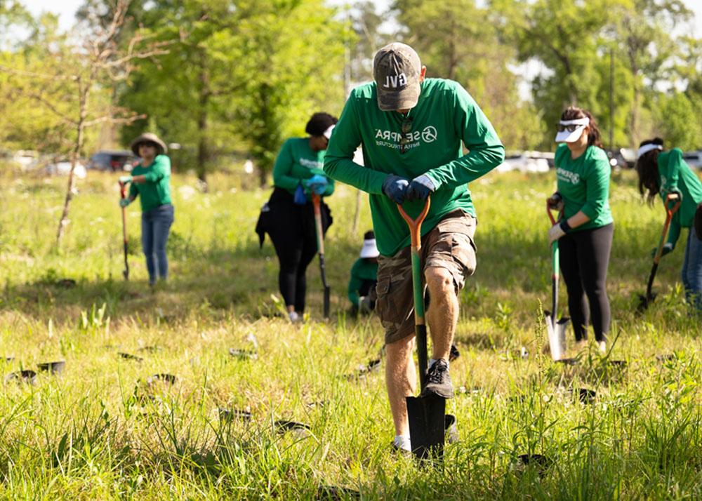 Sempra employees participating in a volunteer tree-planting project in 德州